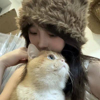 君子好逑 在线观看封面
