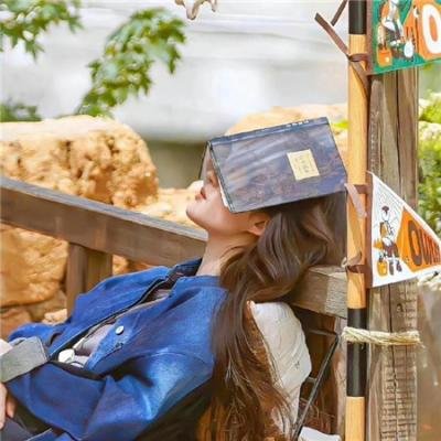 梅根失踪 在线观看封面